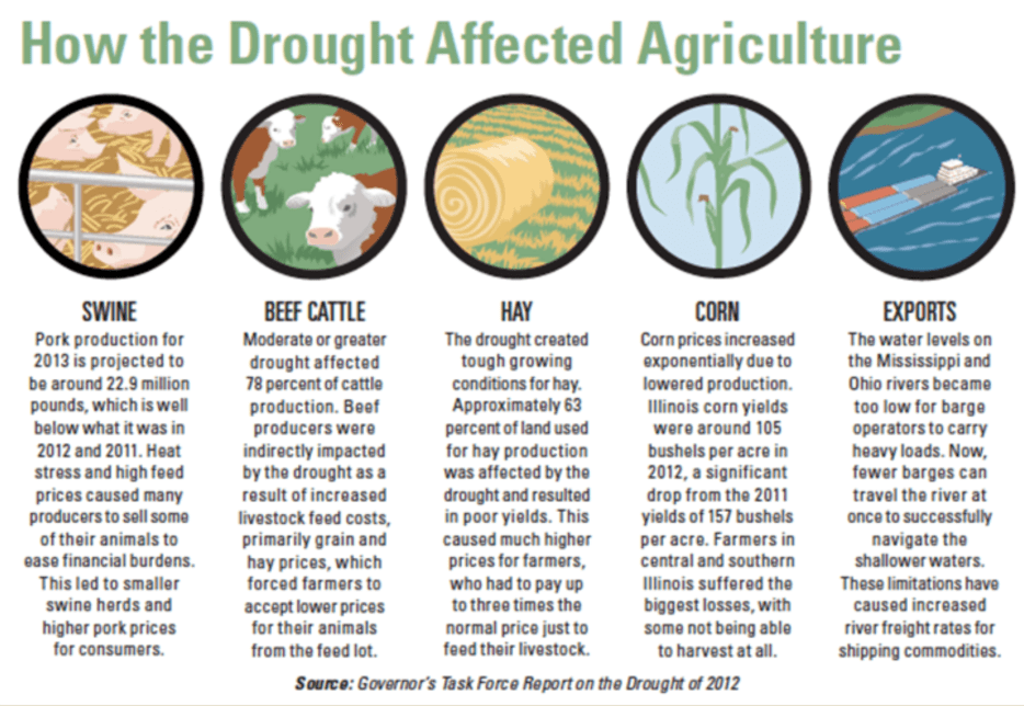 Diagram describing the impacts of the 2012 drought through 5 categories of impact represented by illustrations. These impacts include lack of pork, beef cattle, hay, and corn production, resulting in economic  and agricultural impact. Also describes that the low water levels on the Mississippi river meant higher shipping costs and slower transportation.