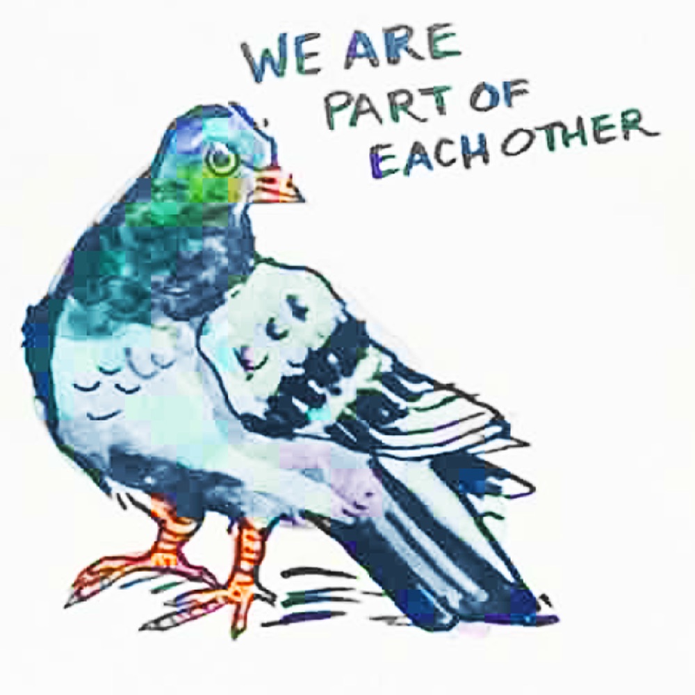 There is a pigeon with grey body and orange feet with the words “WE ARE PART OF EACH OTHER” next to it. There are beautiful purple and green colors in its neck.